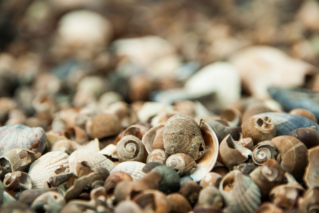 Kosten für eine Biografie